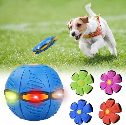 Fuzlet Dog Frisbee