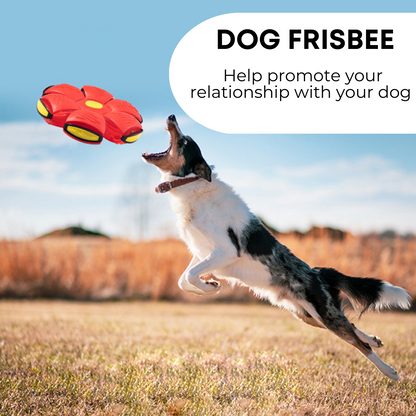 Fuzlet Dog Frisbee