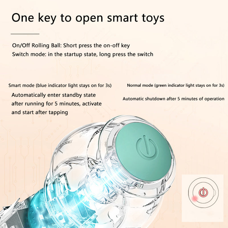 Fuzlet Interactive Cat Ball
