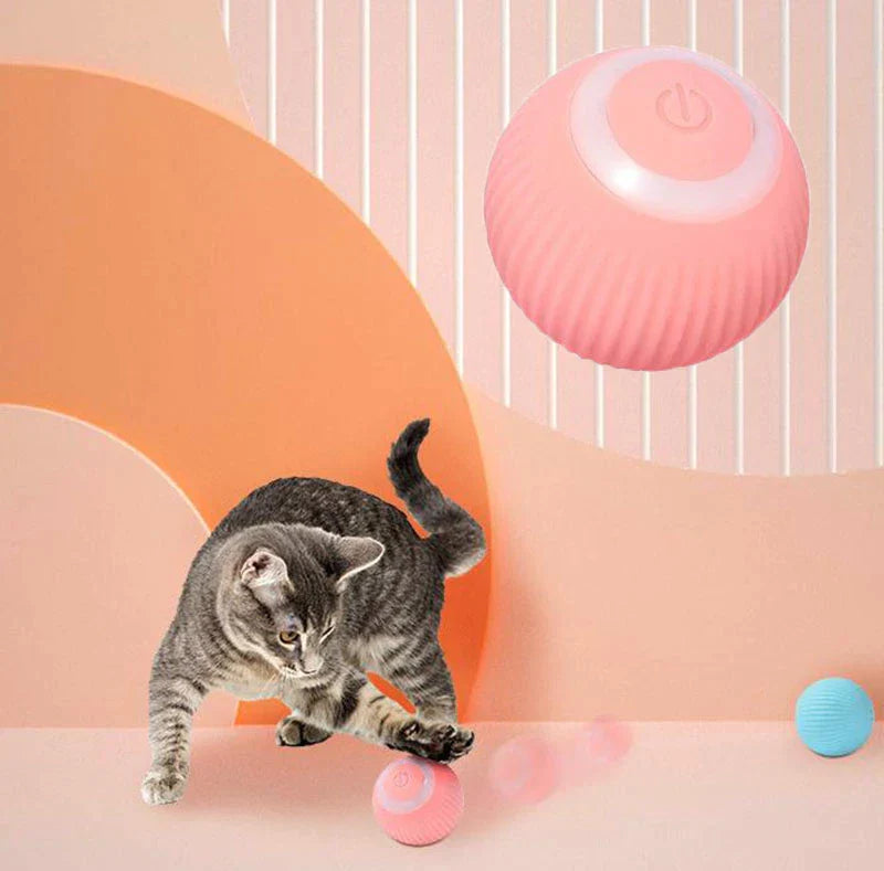 Fuzlet Interactive Cat Ball