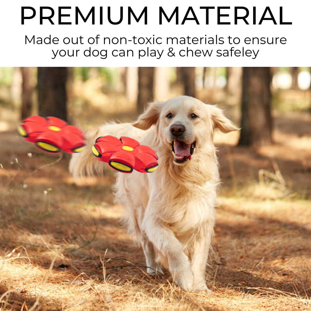 Fuzlet Dog Frisbee
