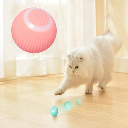 Fuzlet Interactive Cat Ball