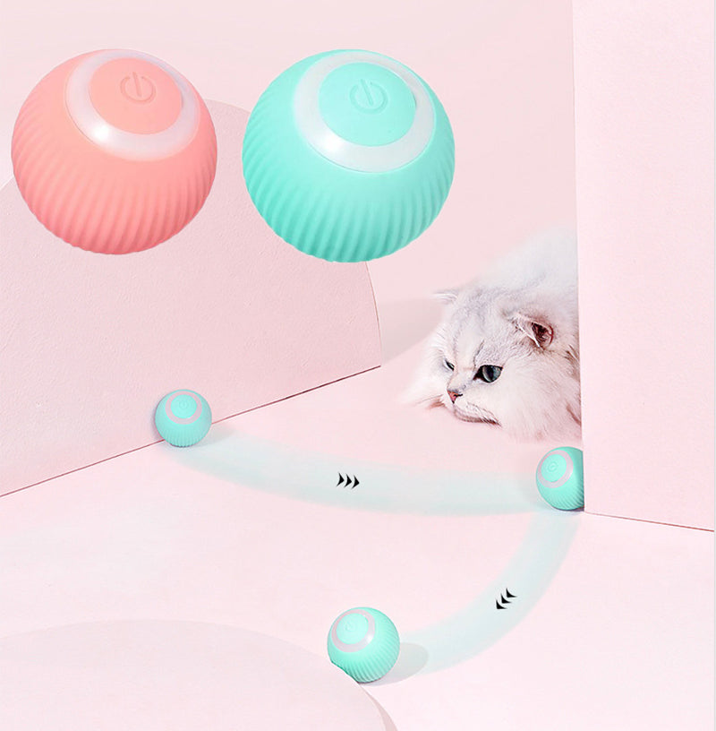 Fuzlet Interactive Cat Ball